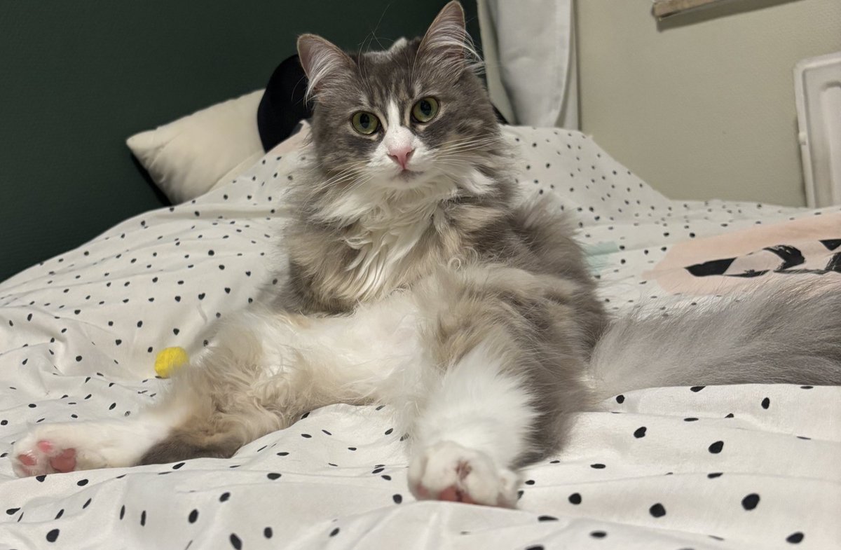 What do you mean you didn’t donate today for a pickup for the 423 Battalion? 😨

send.monobank.ua/jar/2smv8hY5Ey
PayPal v.titarenko@student.csn.khai.edu