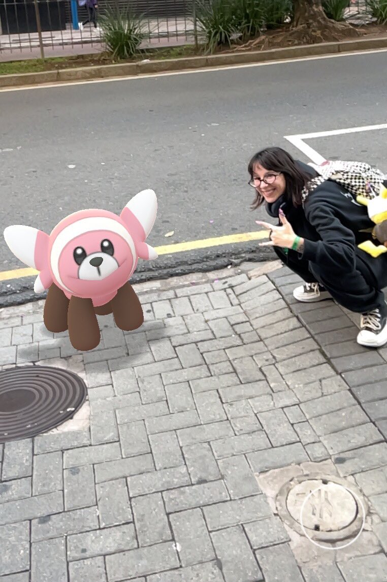 anne paim z. tweet media