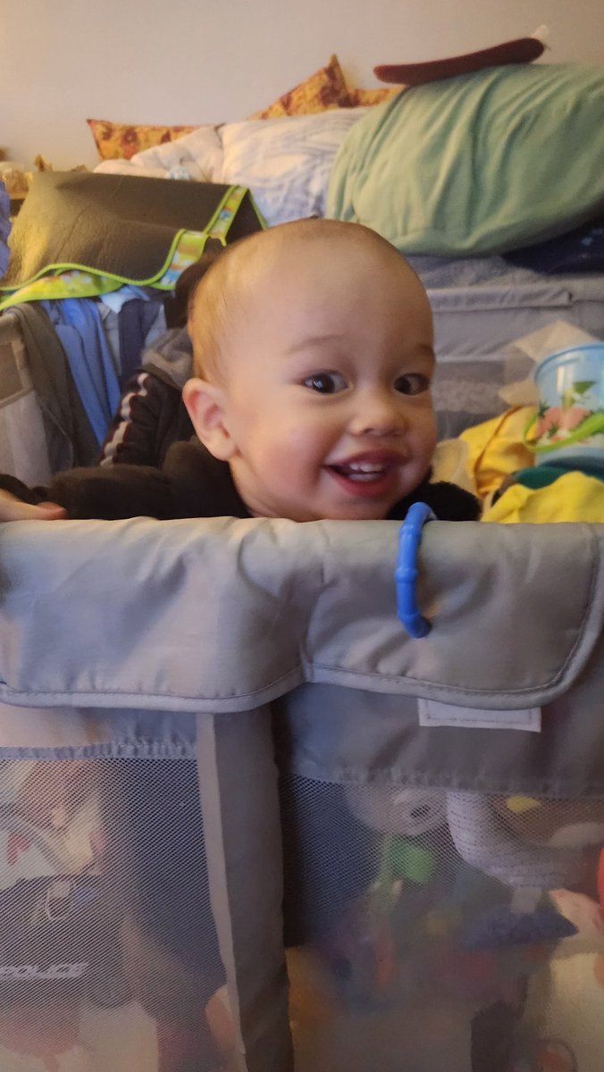 Captainhavfun tweet media