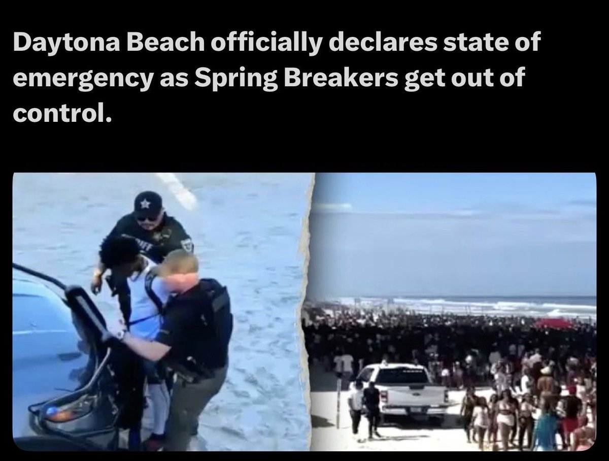 ZepFan2020 tweet media