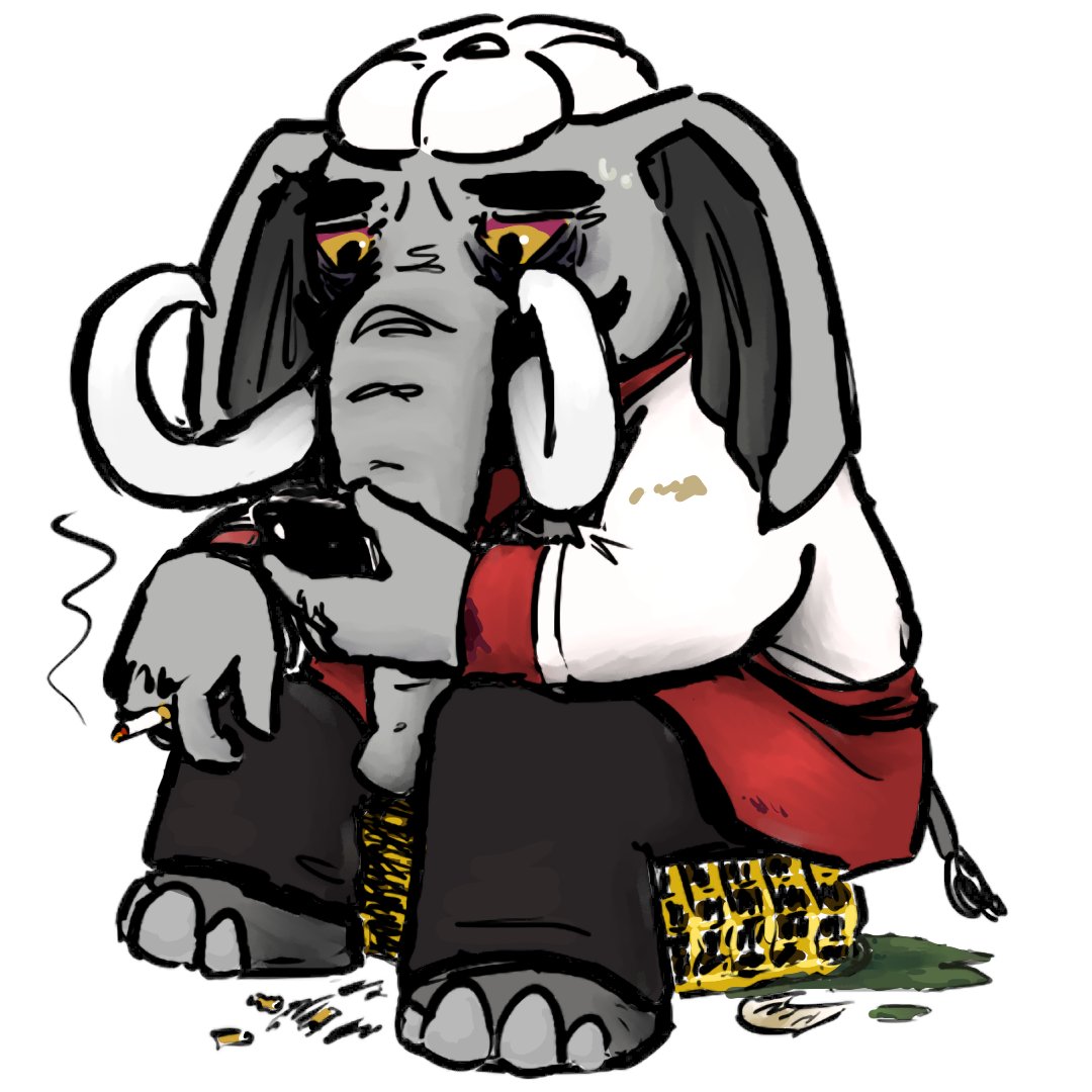 gumpy 🏴‍☠️ tweet media