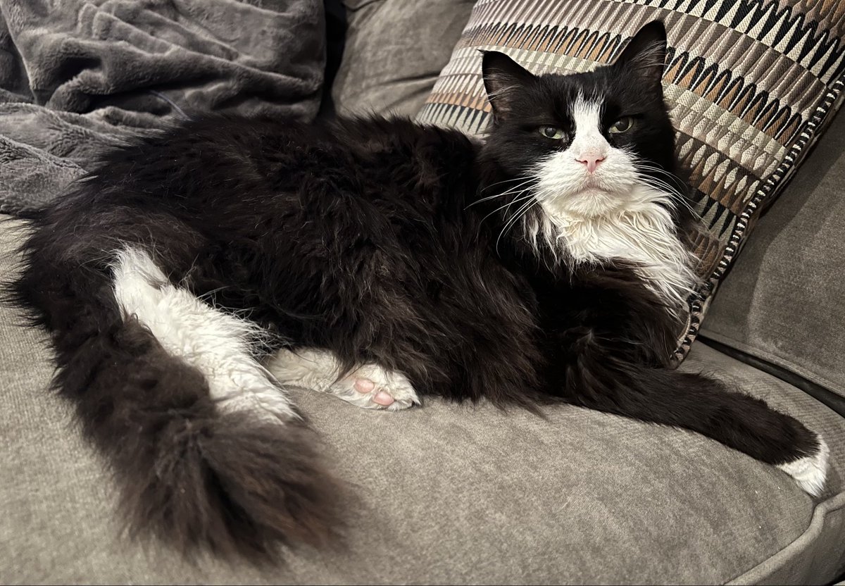 Barry ‘Wieds’ tweet media