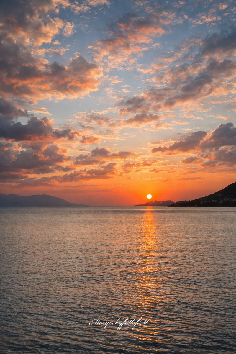 Mary🌻 tweet media