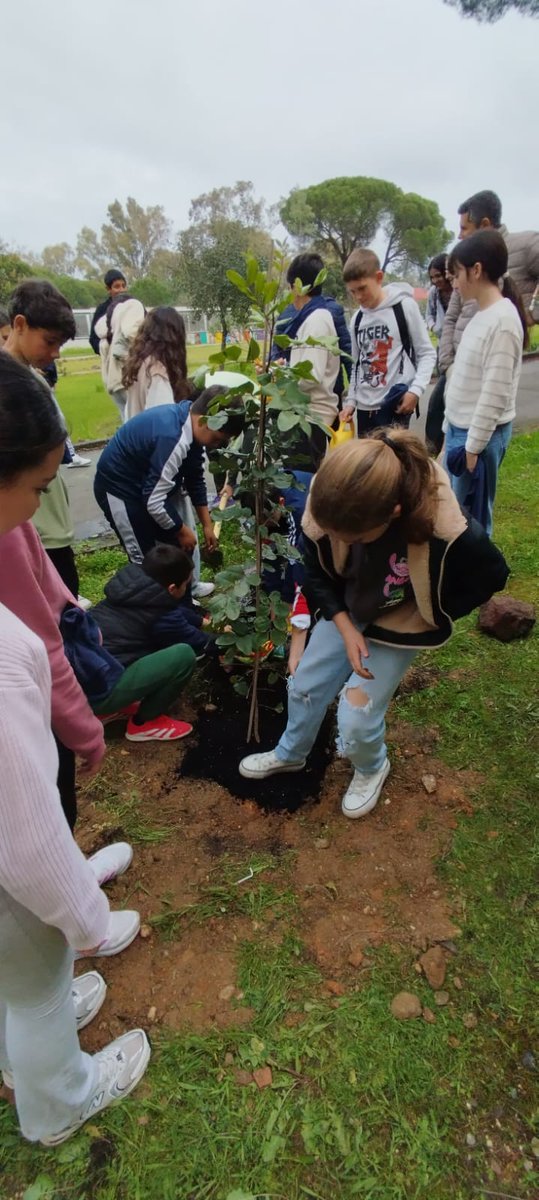 IES CUENCA MINERA tweet media