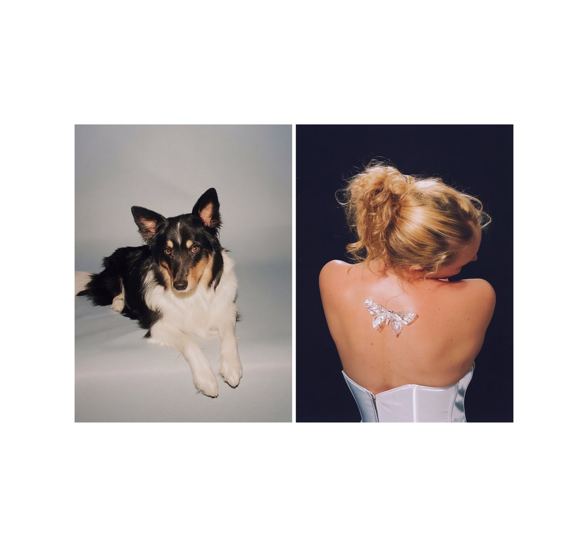 techbimbo tweet media