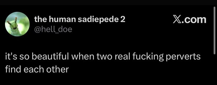 Damien ⚢ tweet media