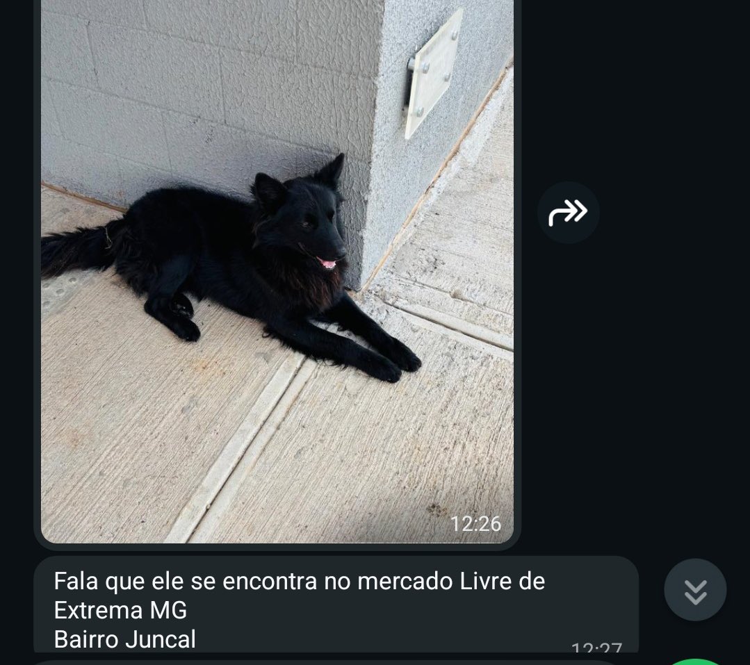 kaarolzx tweet media