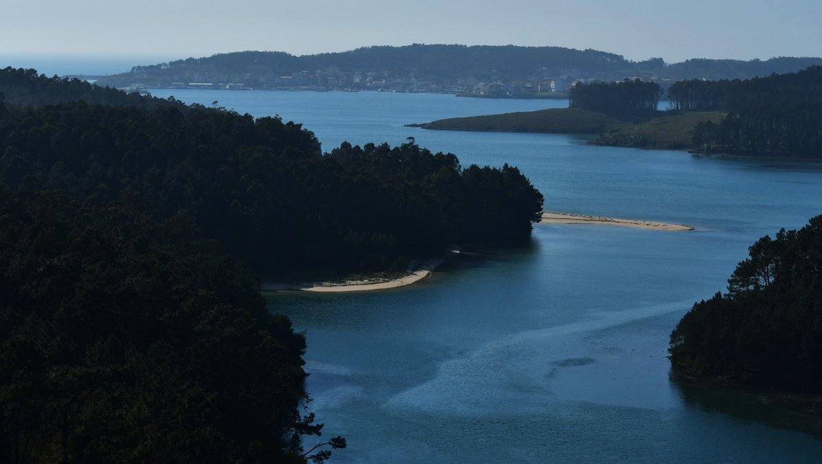 Santiago Garrido tweet media