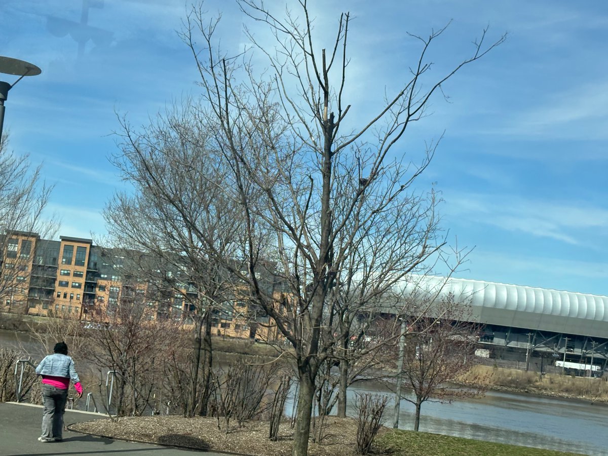 Stacy Podelski tweet media