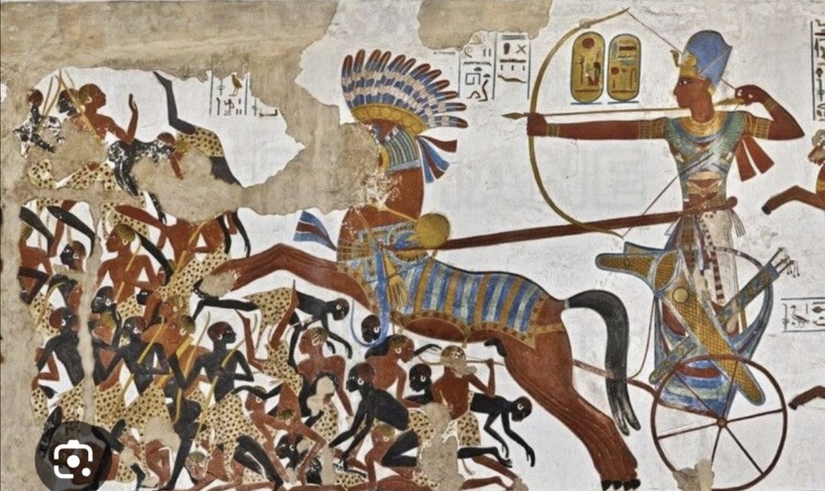 Ton Smit tweet media