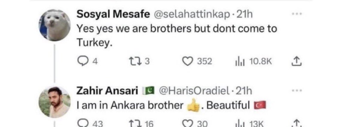 KMTSQUIRREL🇺🇸🇮🇱🇺🇦🇹🇼 tweet media