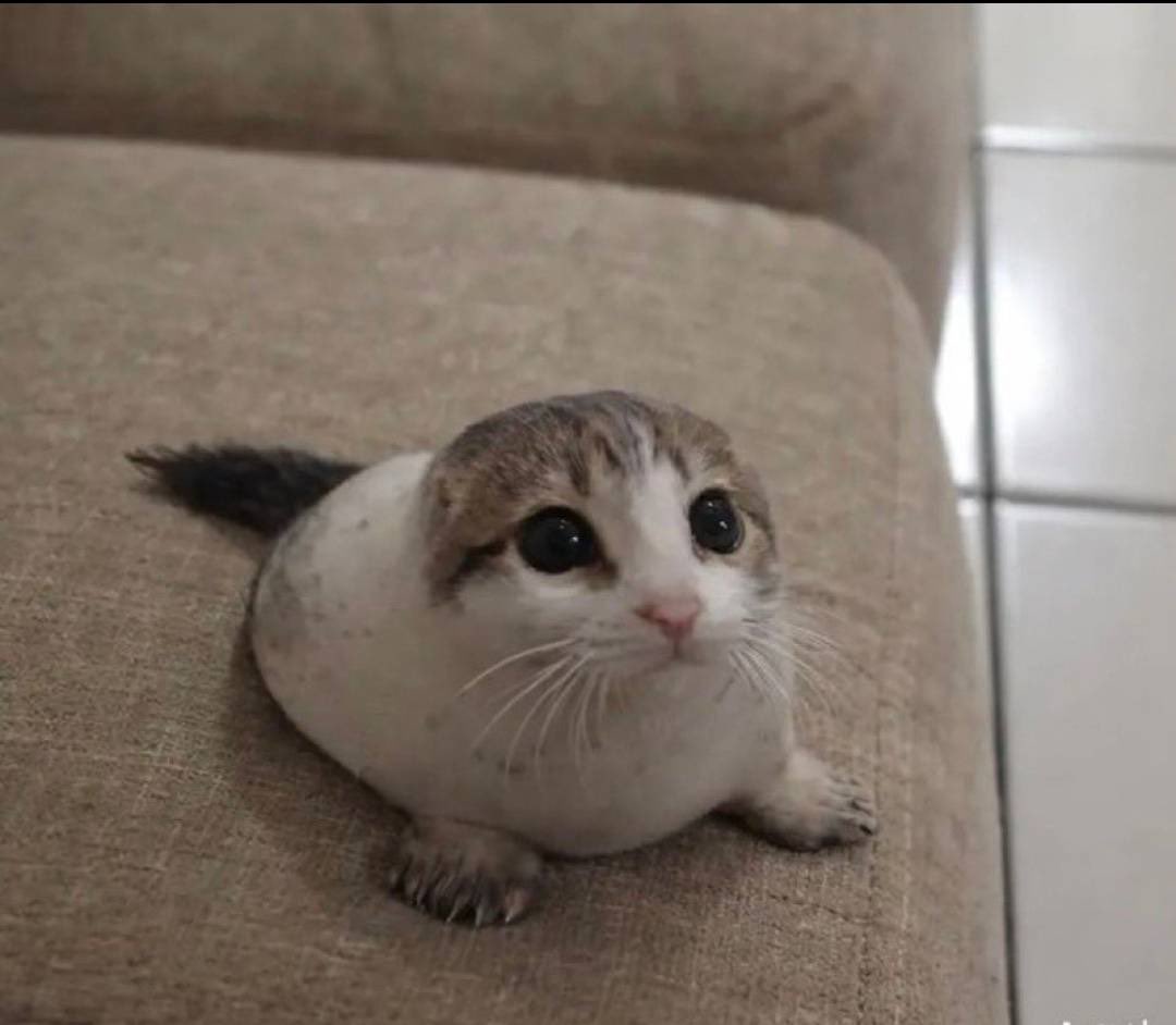 🩸 🧟‍♀️ Figure_FanGirl 228 🧟‍♀️ 🩸 tweet media