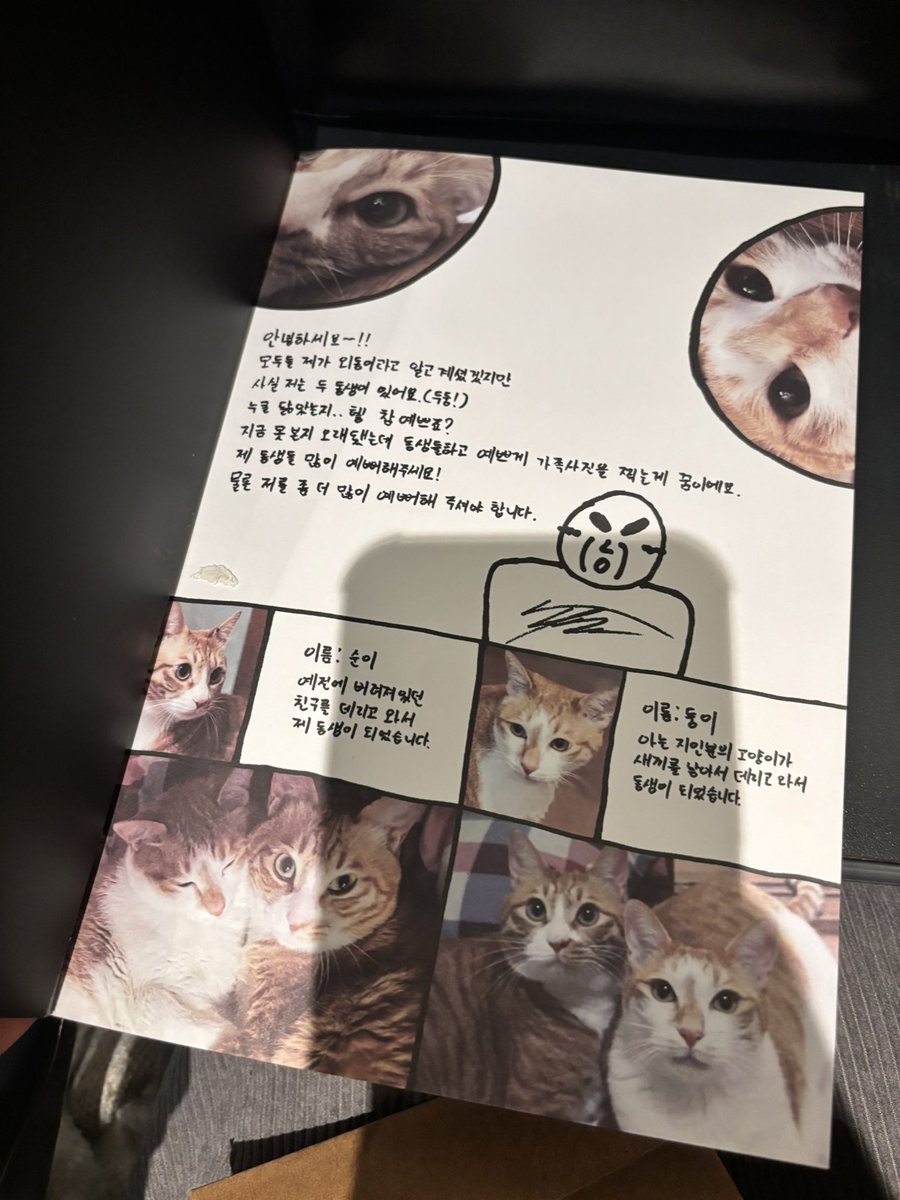 lydia 🧸 °❀⋆.ೃ࿔*:･ tweet media