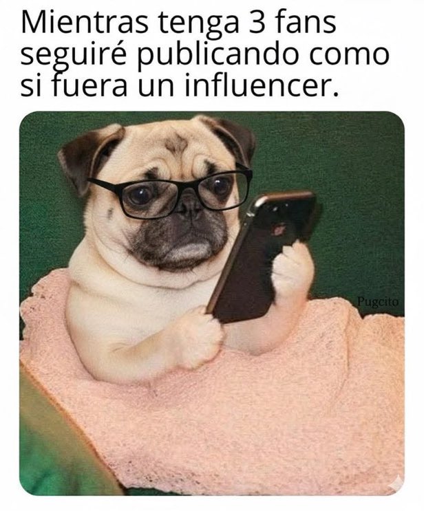 Isa Ricci tweet media