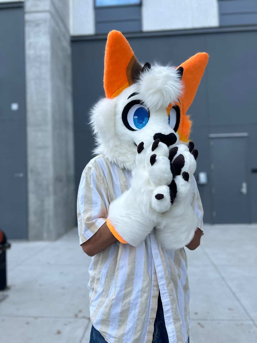 Coolersnc tweet media