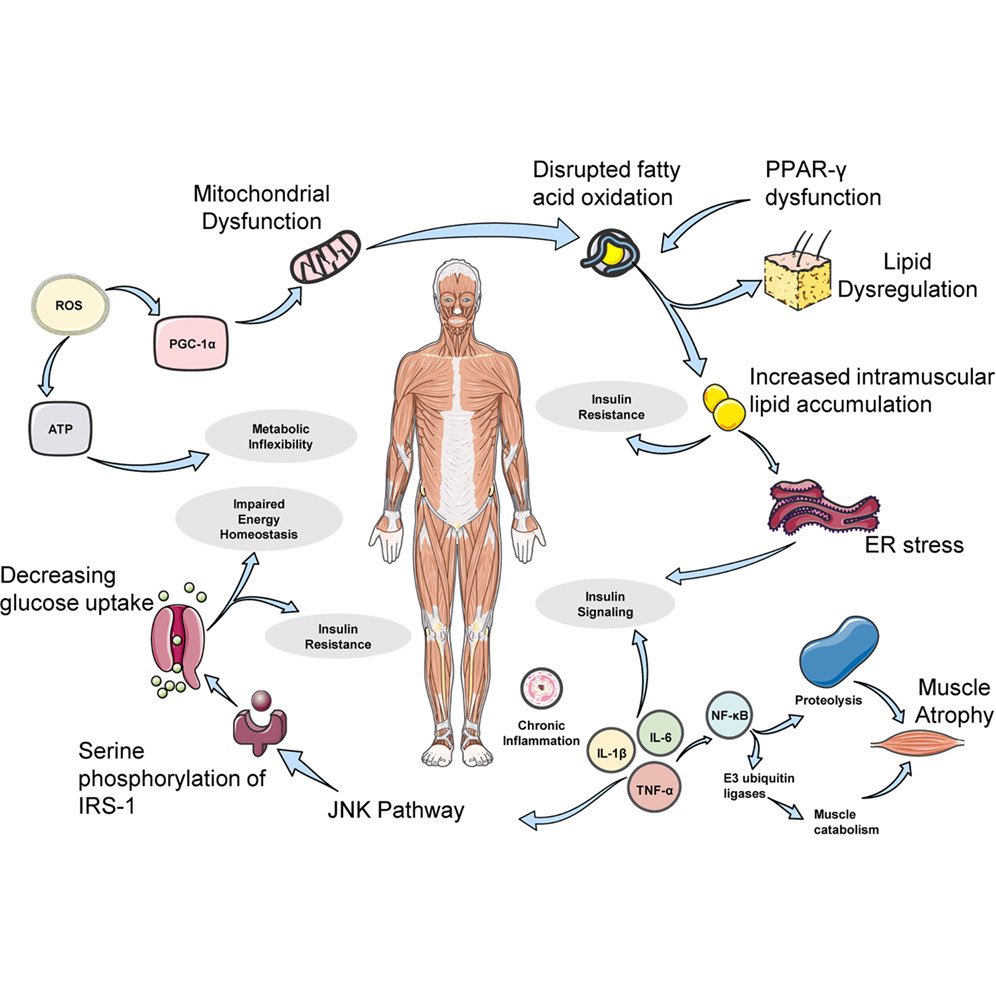 Christoph Burch tweet media