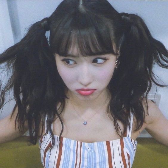 acervo momo🐱 tweet media