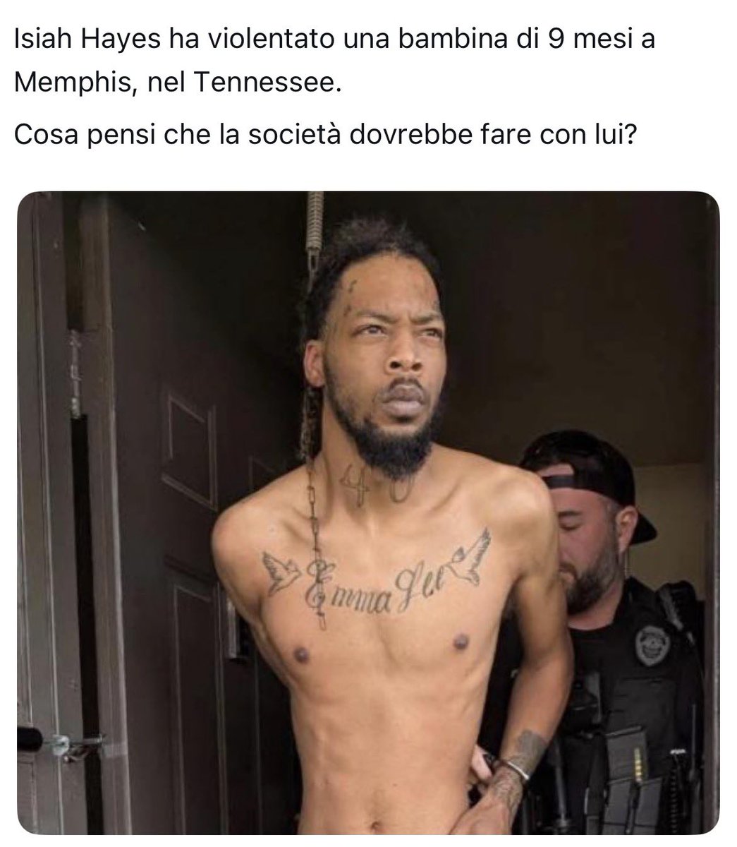 Fatto a gattodio tweet media