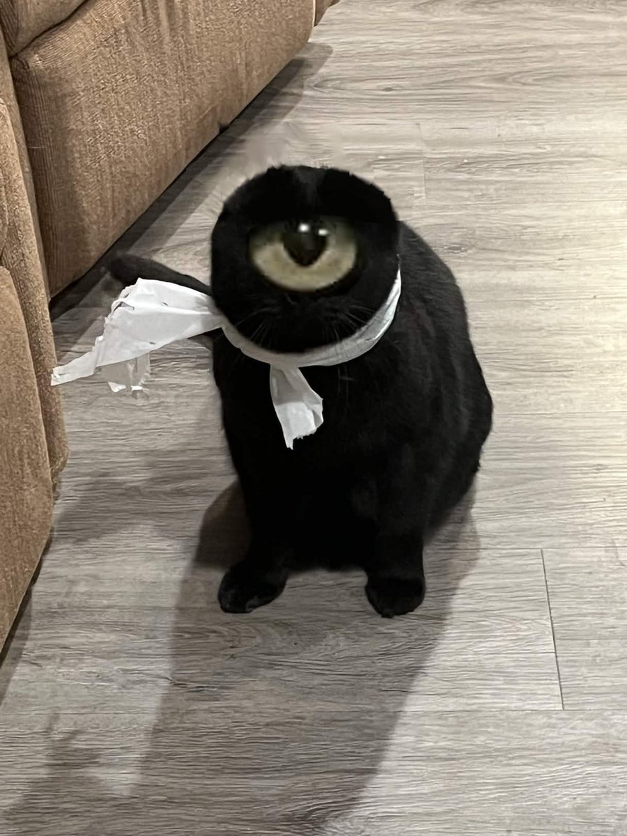 🐸Frog Man🐸 tweet media