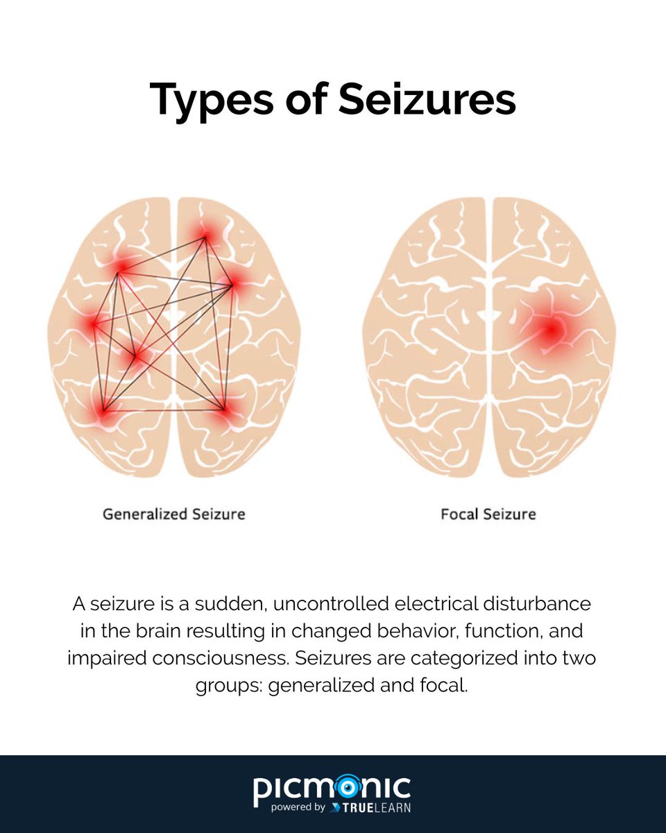 Picmonic tweet media