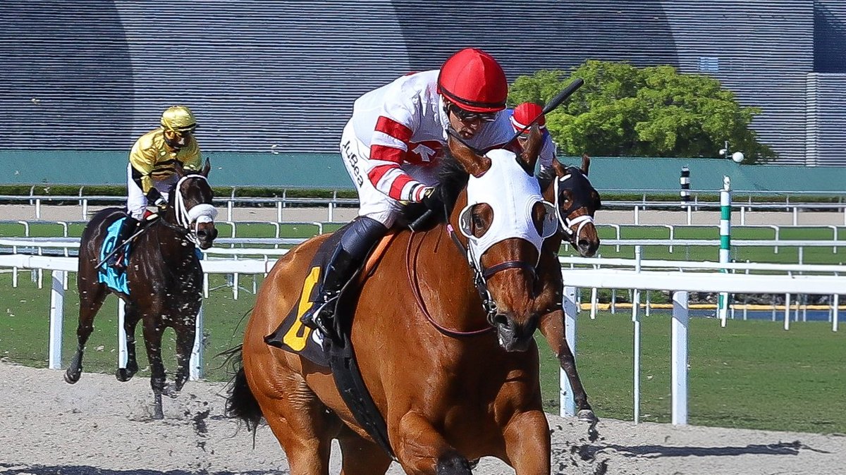 Gulfstream Park tweet media