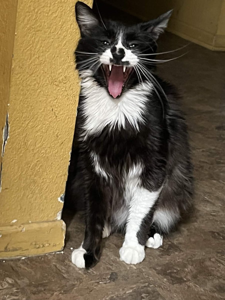 hiromi of shedtwt🌻 tweet media