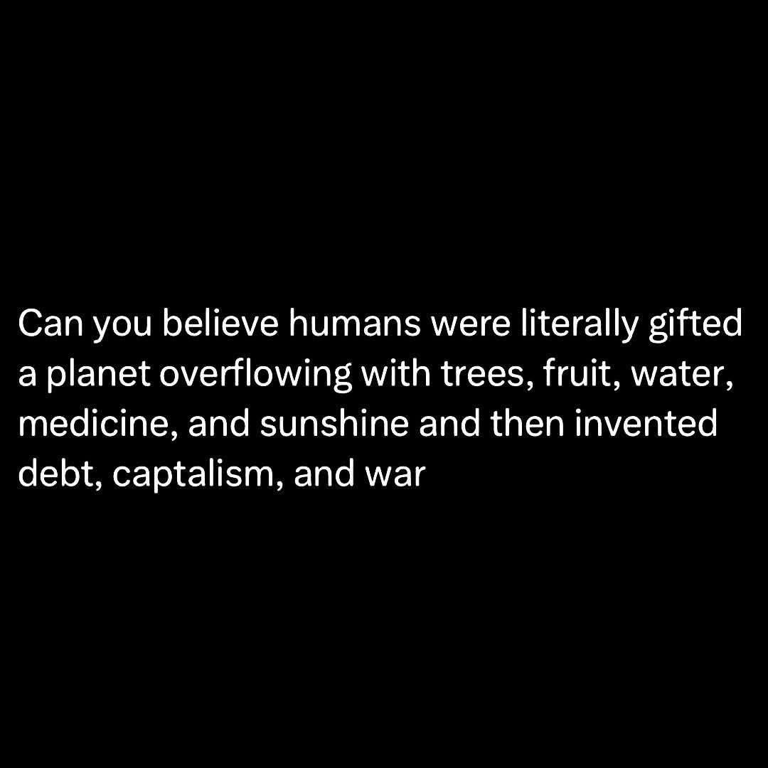 David Wolfe tweet media