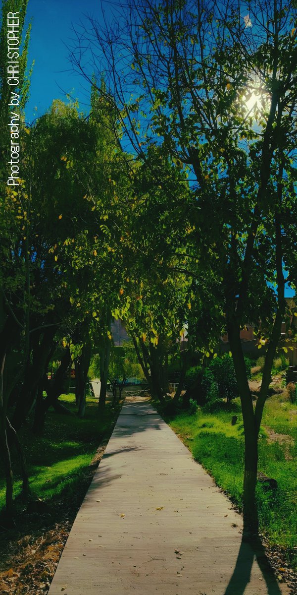 𝕮𝖍𝖗𝖎𝖘𝖙𝖔𝖕𝖍𝖊𝖗 tweet media