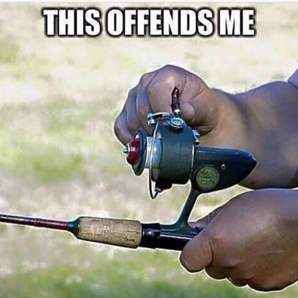 Fishing Niche tweet media