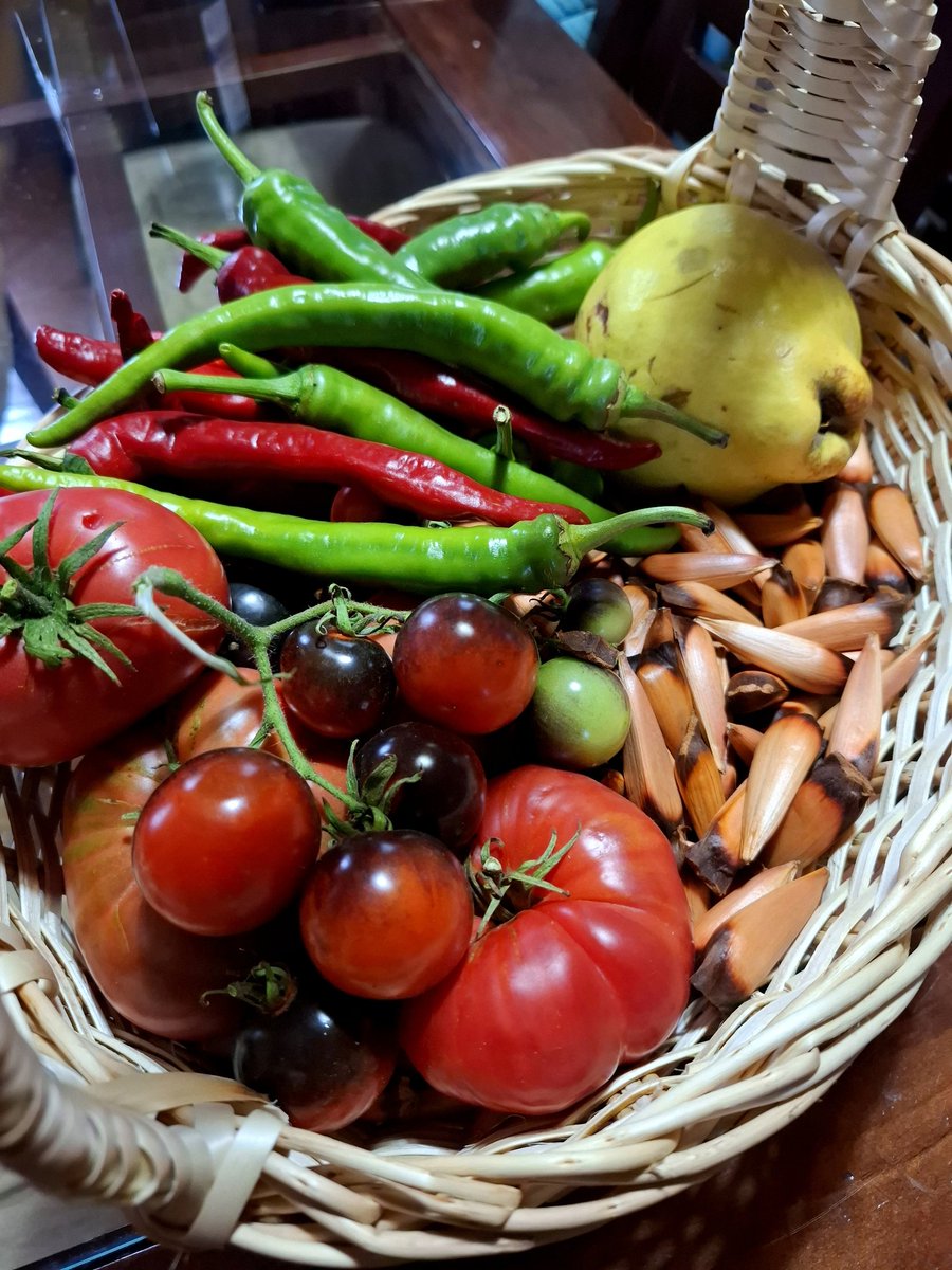 Pedro Cayuqueo tweet media