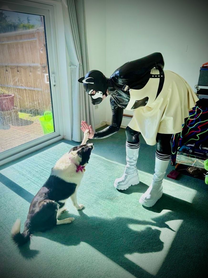 Flux - 🇨🇦 🇬🇧 🔜 Bangkok Pride tweet media