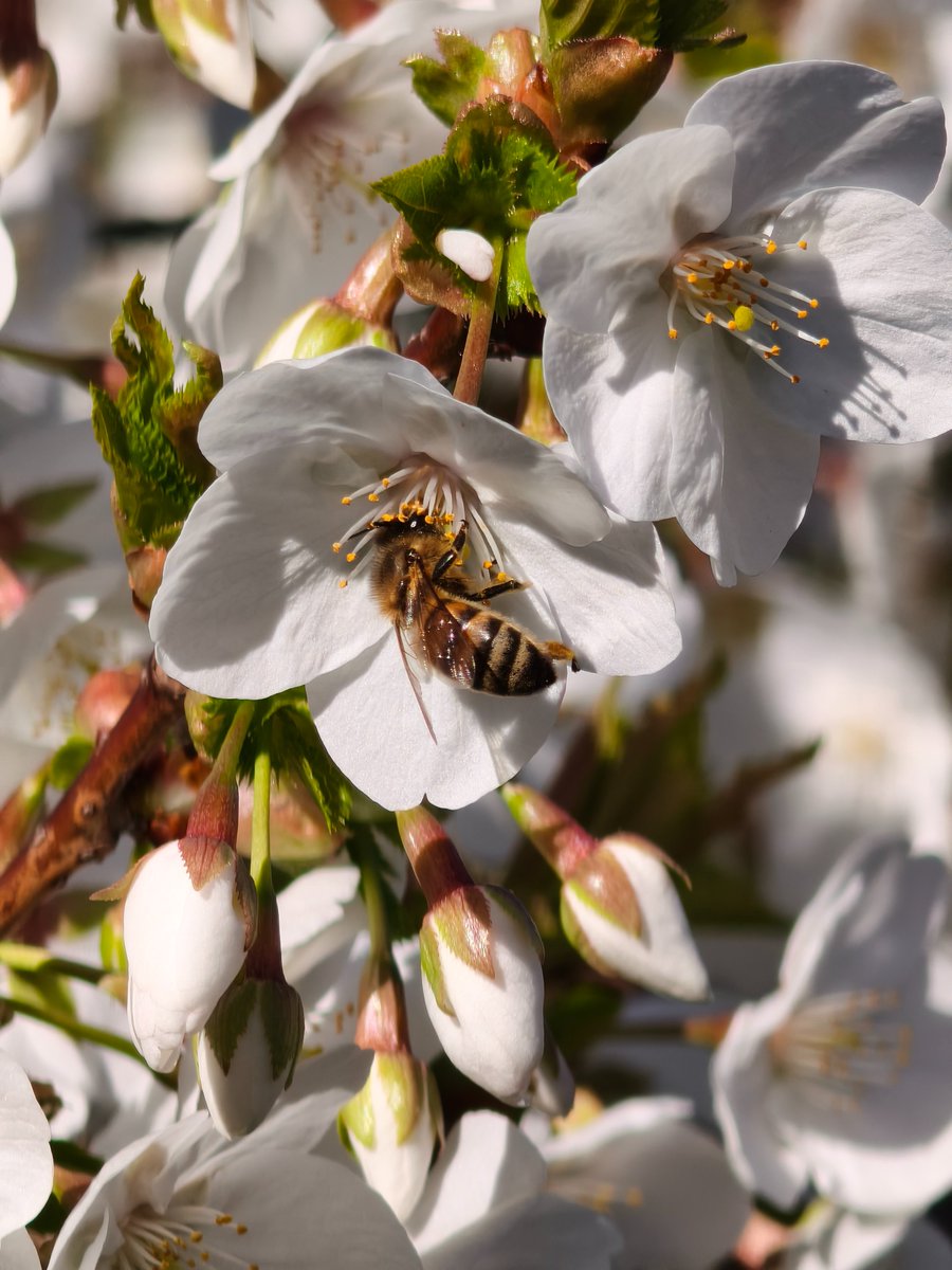 foy ➡️🟦☁ tweet media