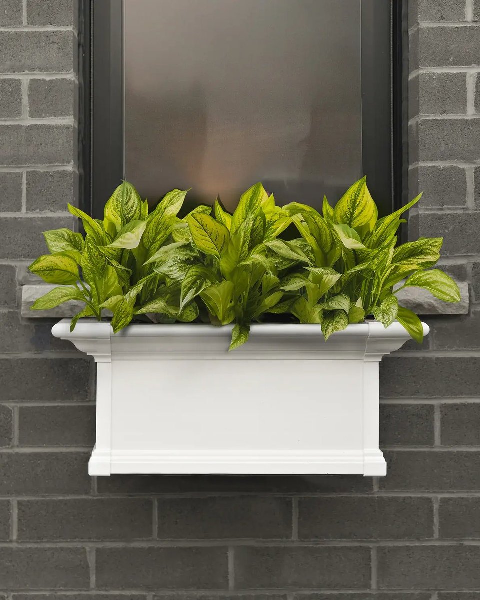 Same window box, endless possibilities. With multiple length options, you can customize the perfect fit for every window, railing, or outdoor vignette on your list. The only question is: What will you choose to plant this year?