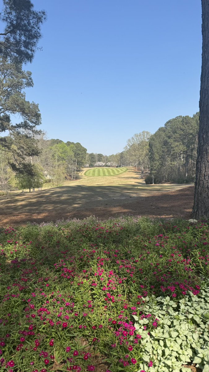 Jared Boggus tweet media