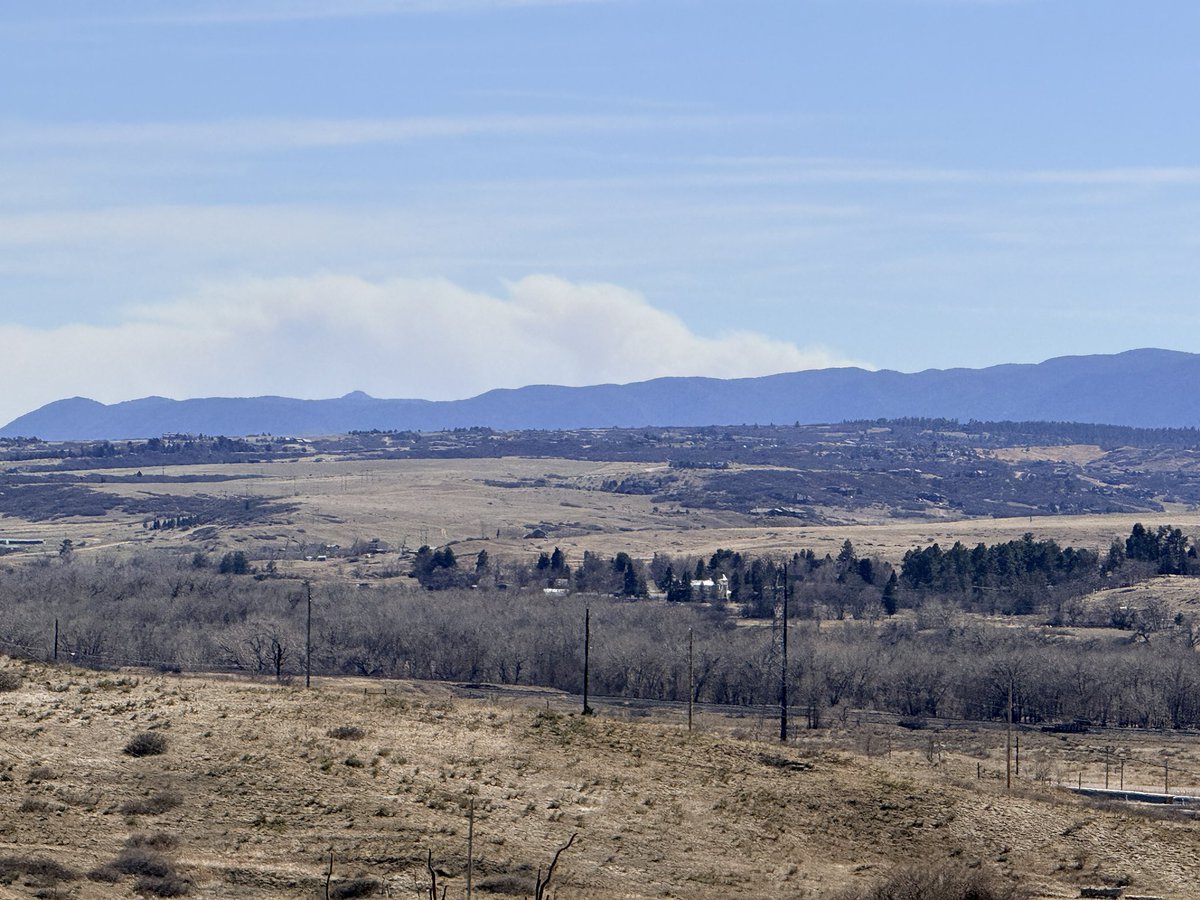 Brian Willie tweet media