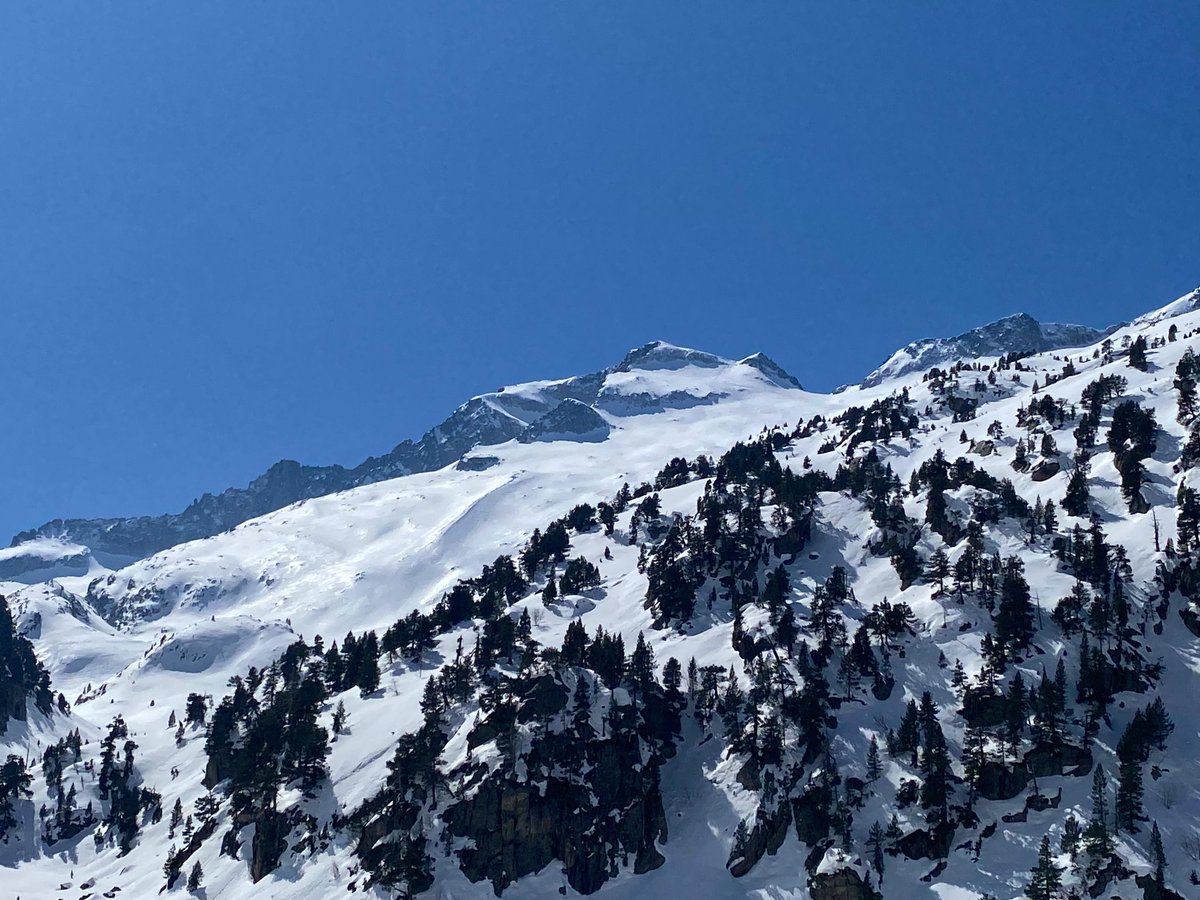 Carlos Rs tweet media