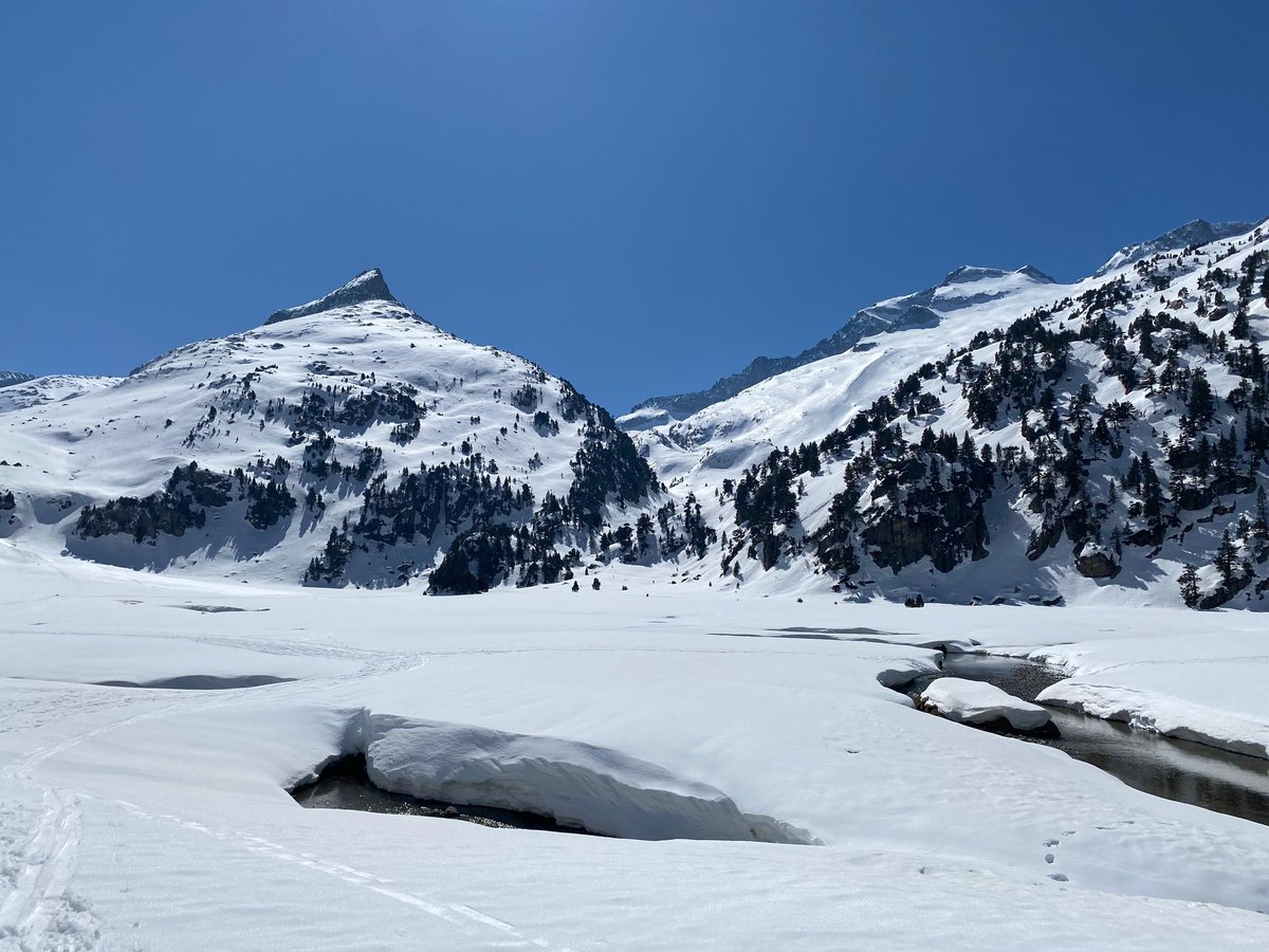 Carlos Rs tweet media