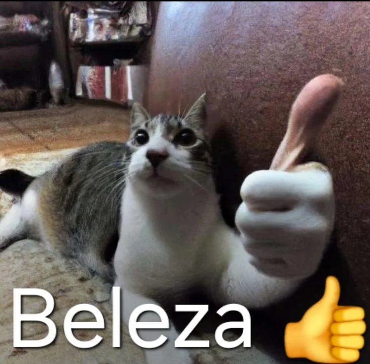 Info4Fun Brasil tweet media