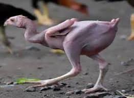 مادو ꨄ 🅜edhat ㋛ シ tweet media