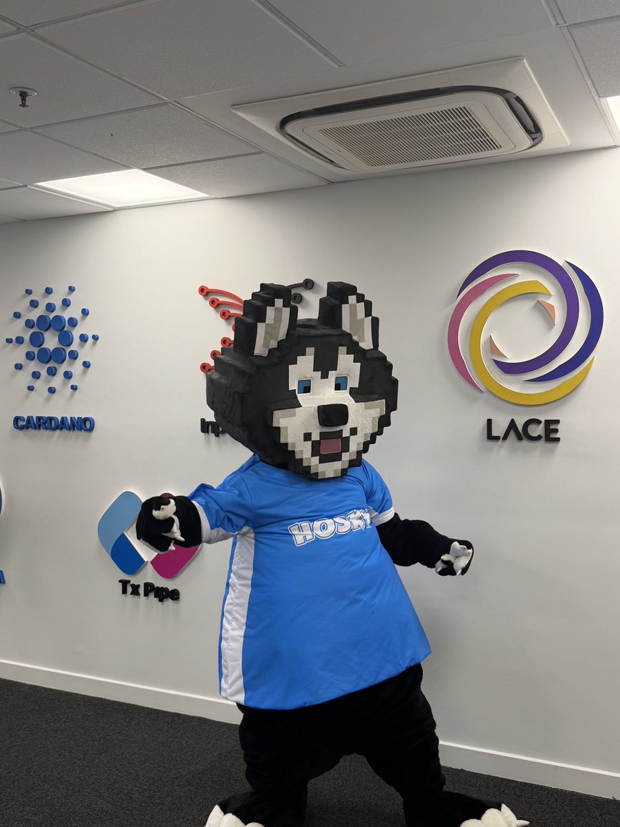 Mauro Andreoli || Cardano & Midnight Ambassador tweet media