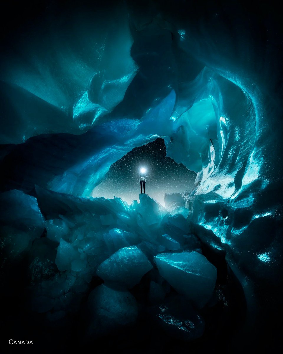 CATH Simard tweet media