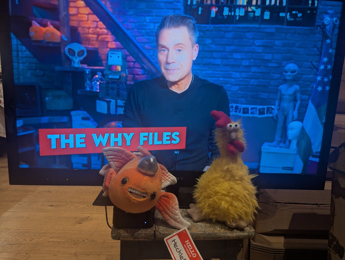 Affnordable (Anders Gjersøe) tweet media