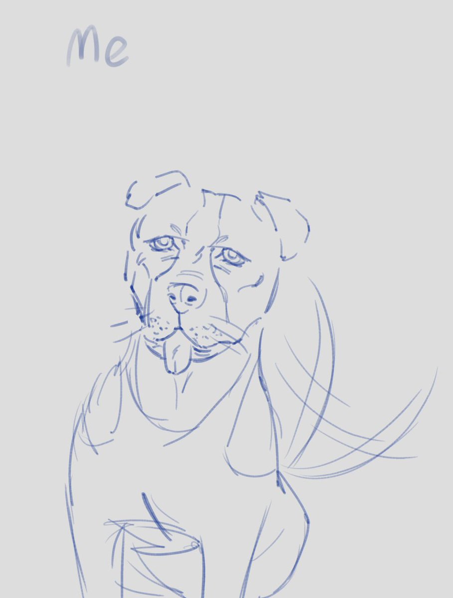 Matya 🤯 tweet media