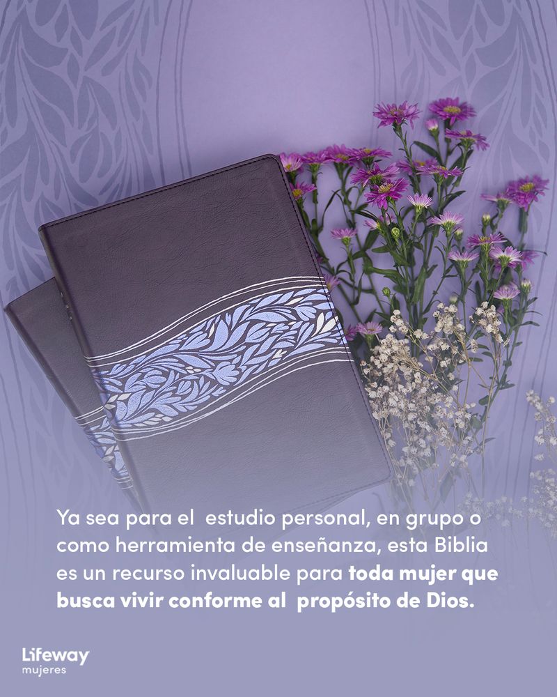 B&H Español tweet media