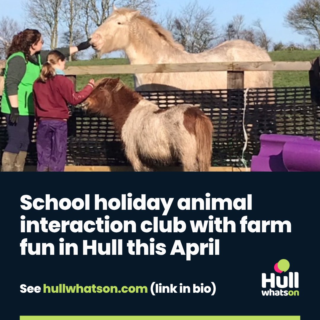 Hull What's On tweet media