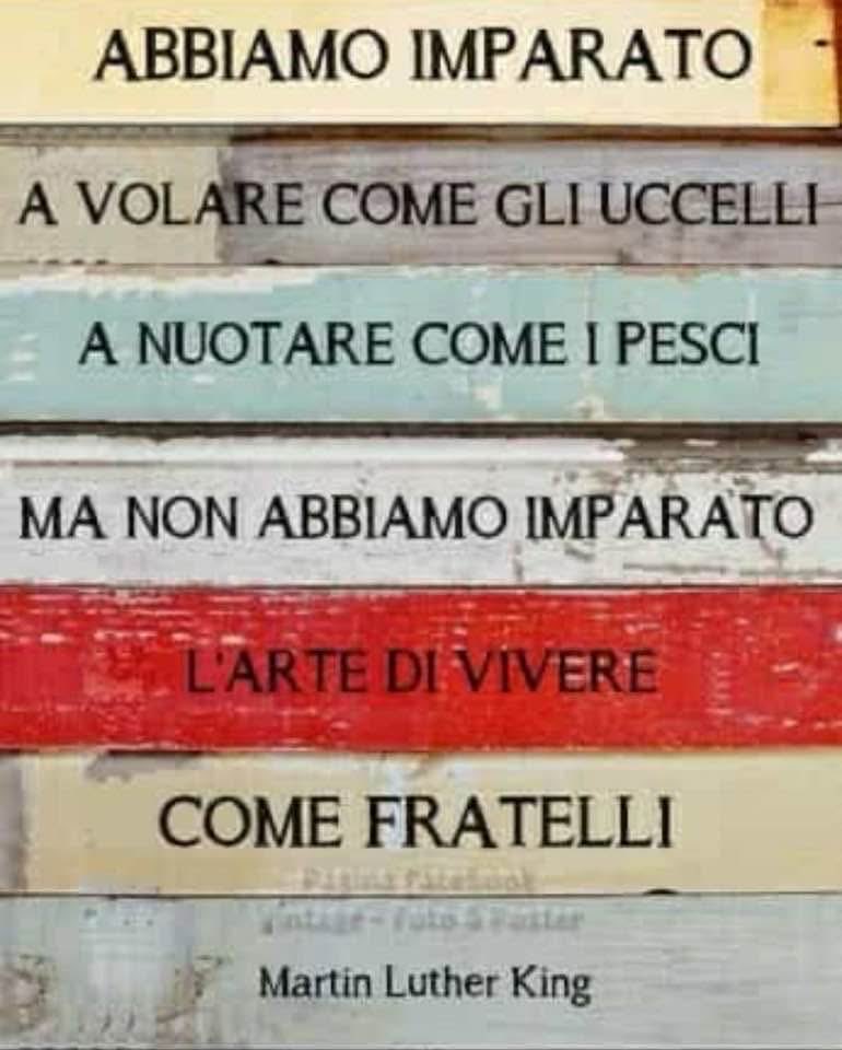 anna maria moscarell (@annamariamoscar) on Twitter photo 