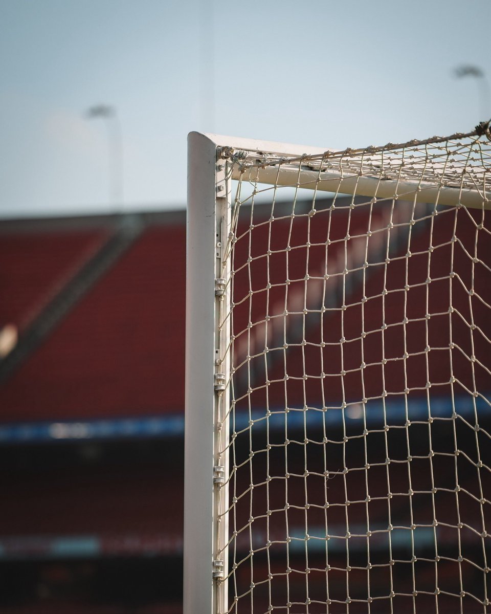 SE Palmeiras tweet media