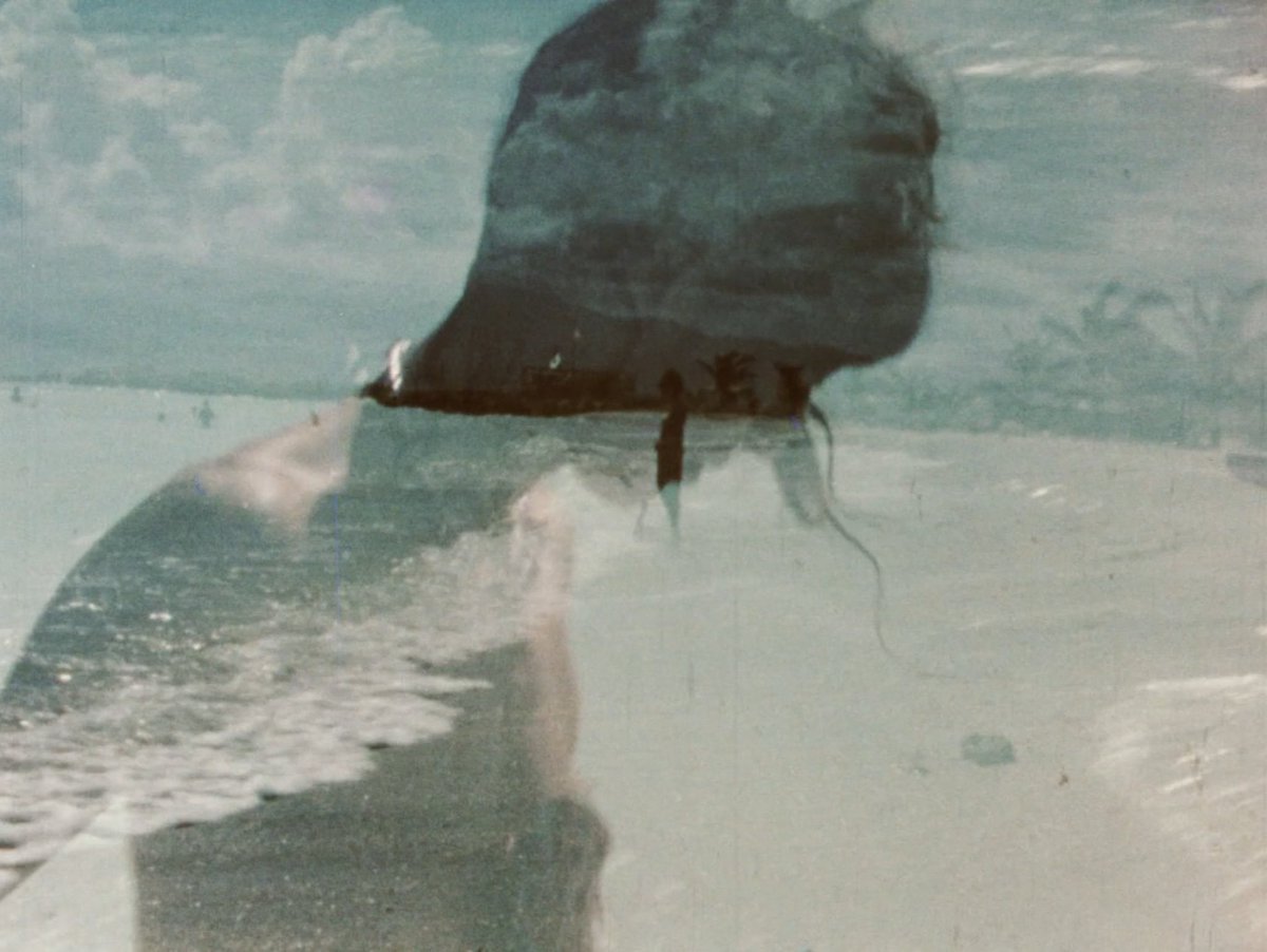 chillvia tweet media