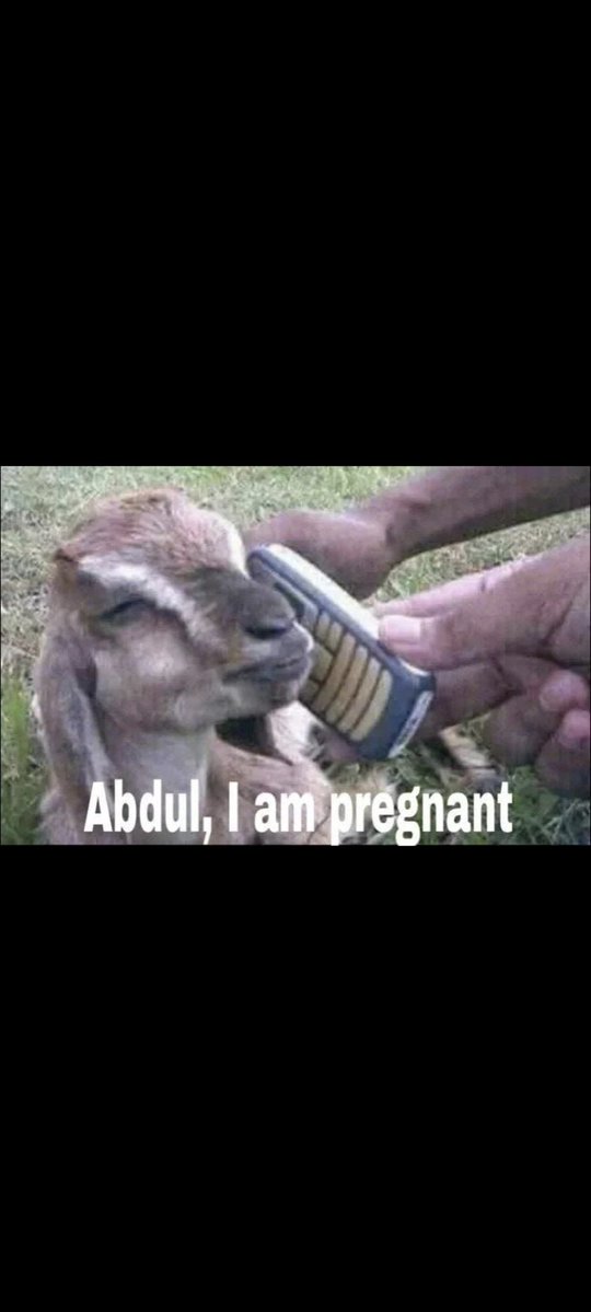 n2y🇮🇱📟 tweet media