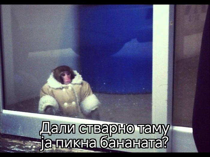 Flying Fahman tweet media